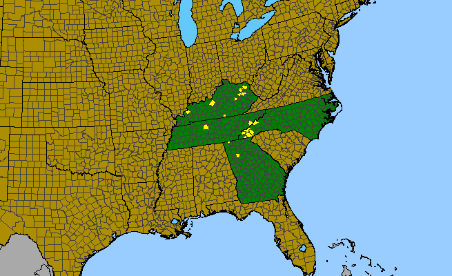The range of Thaspium pinnatifidum